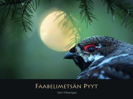 Faabelimetsän pyyt Online Sale