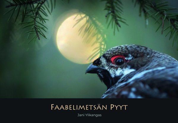 Faabelimetsän pyyt Online Sale