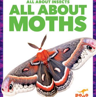 All about Moths For Cheap