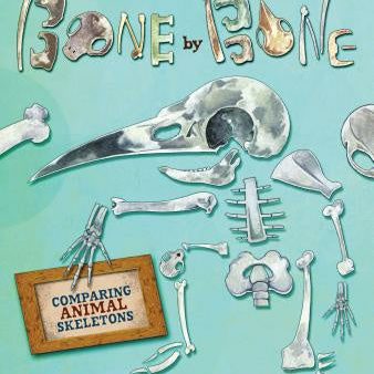 Bone by Bone: Comparing Animal Skeletons Fashion