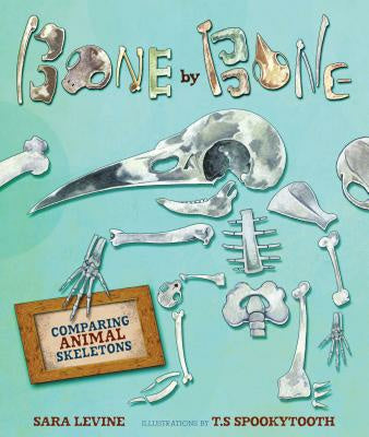 Bone by Bone: Comparing Animal Skeletons Fashion