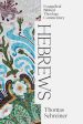 Hebrews: Evangelical Biblical Theology Commentary Hot on Sale