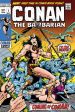 Conan the Barbarian: The Original Comics Omnibus Vol.1 Fashion