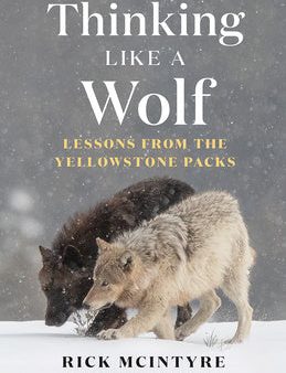 Thinking Like a Wolf: Lessons from the Yellowstone Packs Online Sale