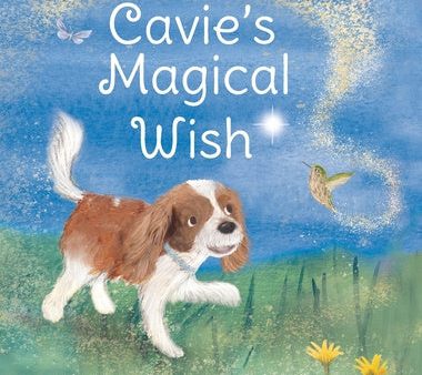 Cavie s Magical Wish For Sale