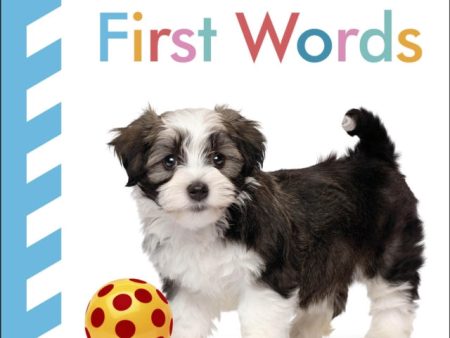 Baby Touch and Feel First Words Sale